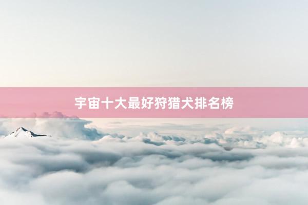 宇宙十大最好狩猎犬排名榜